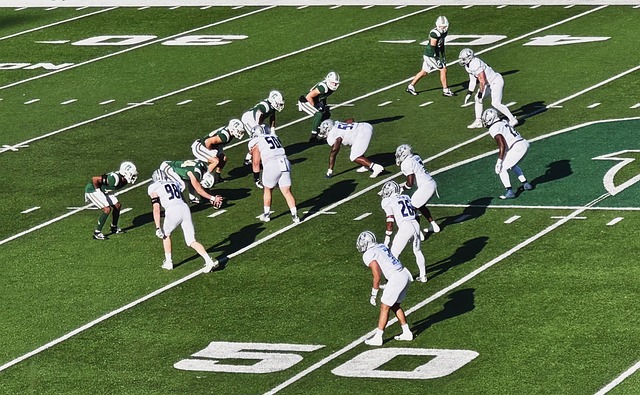 给出了一个 给出了一个