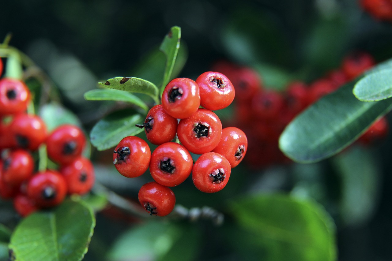 的广泛讨论 的广泛讨论